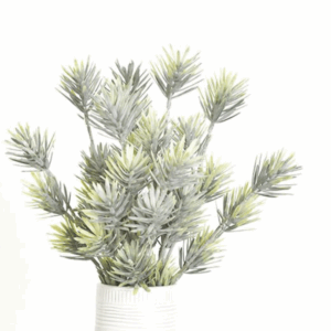 A vase holding soft, frosted pine branches.